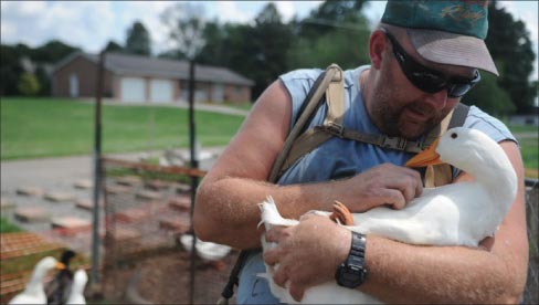 In a 2014, file photo, Iraq war veteran Darin Welker, 36, holds one of his ducks at his home in West Lafayette, Ohio. The Ohio Army veteran who says his pet ducks help relieve his post-traumatic stress disorder and depression has been convicted of a minor misdemeanor for keeping the birds. Welker was cited for violating a village ban on keeping farm animals in West Lafayette, about 80 miles east of Columbus, Ohio. He was found guilty Wednesday, Oct. 29, 2014 and fined $50 plus court costs. Photo: Trevor Jones, AP