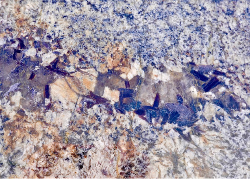 Amphibole crystals are the dark brown or black rectangles. The clear, grey, glassy vein is quartz. There are also white feldspar crystals throughout this slab, and some garnets near the bottom of the photo. This is Montana Brown.