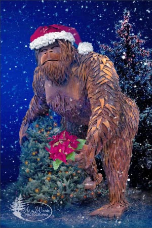 For the recent holiday, Bigfoot’s head was covered with a large red-and-white Santa Claus hat.