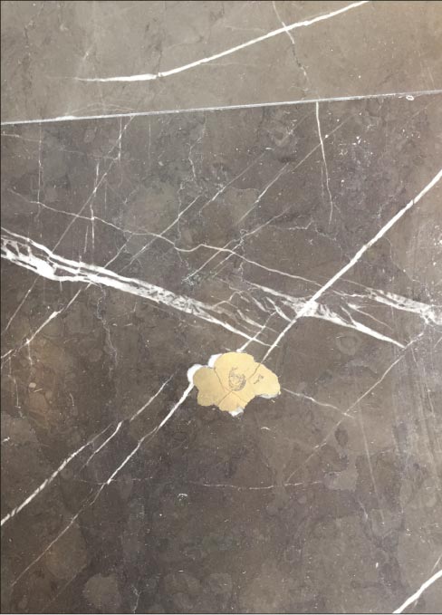 It’s not uncommon to find minerals and even semi-precious crystals in stone used for floors and countertops– like this sample in marble. 