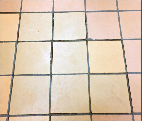 Quarry tile installed at a popular fast food restaurant. Note the typical, wide grout lines, also a target for maintenance and periodic resealing.