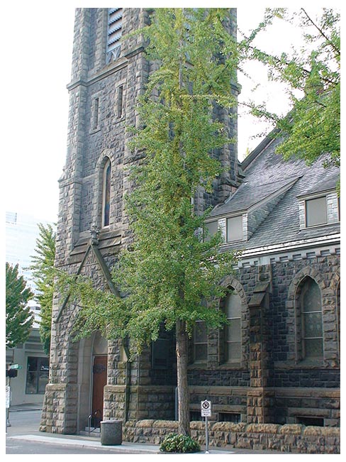 Portland Church