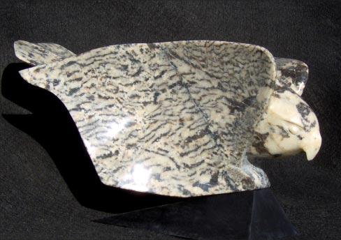 Gyrfalcon in feldspar granite, wings folded to dive.