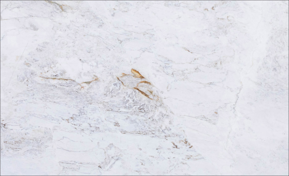 Calacatta Columbus marble by Granitos Zucchi has been chosen as the 2021 Natural Stone Institute Stone of the Year