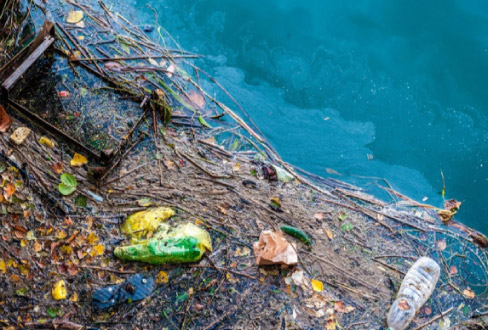 The Great Pacific Garbage Patch: bigger than the state of  Texas.