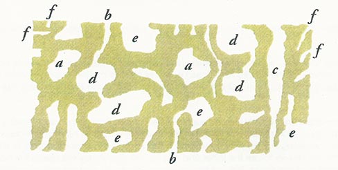 In this diagram, a = Closed pores; b, d, e and f = Open pores; c = Interstitial pores