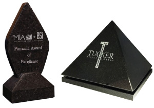 NSI Announces Call for Entries for Pinnacle and Tucker Awards