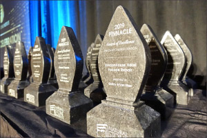 NSI Announces 2020 Awards Program Call for Entries