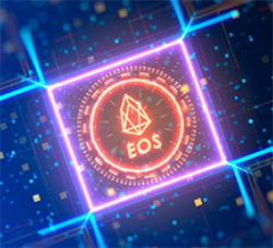 the Entrepreneurial Operating System (EOS)