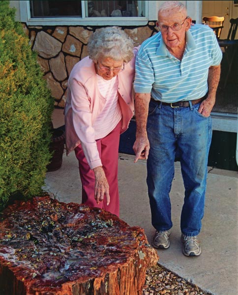 Bryant and Edna point at a petrified wood log they’ve had for over 20 years