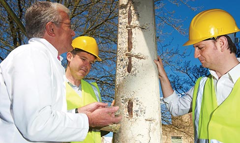 A special concrete mix that has self-healing properties — bacteria in microcapsules that will germinate and swell when activated by water seepage ­­­— is being developed in a collaboration between researchers at the University of Bath, Cardiff University, and Cambridge University.  Photo from the University of Bath