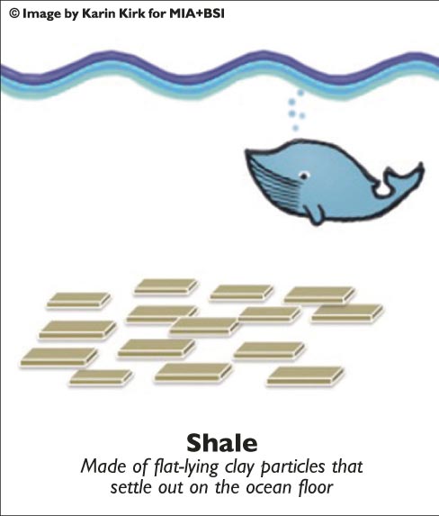 Shale Made of flat-lying clay particles that  settle out on the ocean floor