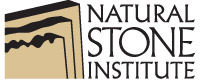 NSI logo