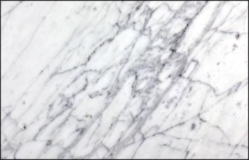 Classic Italian Carrara marble: note the distinct, dark veining.