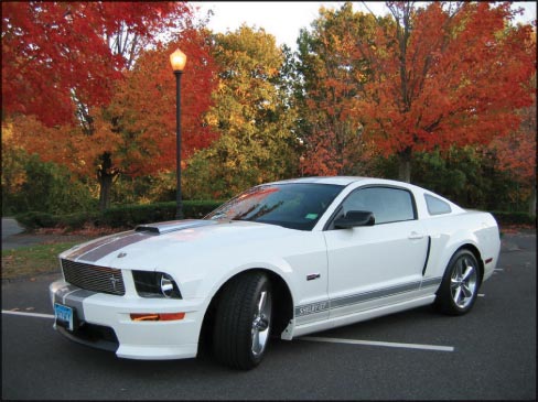 2015 White Mustang GT fastback