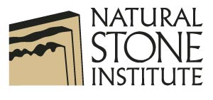 NSI Logo