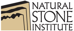 NSI logo