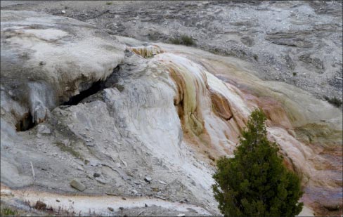 Filamentous bacteria thrive in the spring water and create smooth drapes of travertine. The bacteria become entombed in the stone, and when they decompose they leave behind the void spaces that make travertine so intricate and interesting.