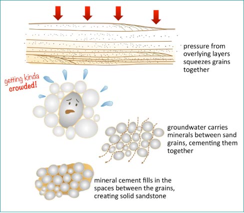 Step 2 – Sand Grains Become Sandstone