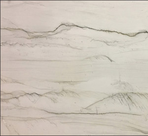 Mont Blanc quartzite from Brazil has a white background accented with veins of dark to medium gray.