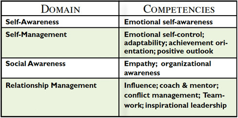 Domain and competencies