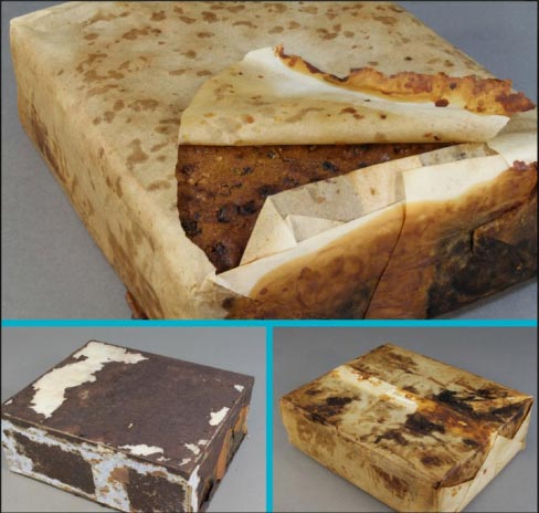 The 106-year-old fruitcake qualifies as a historical artifact left behind by explorers in Cape Adare, Antarctica.