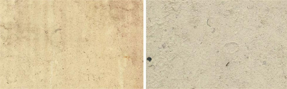 Above, left: Chassagne Beauharnais features shell inclusions and earthy, beige tones mixed with occasional dashes of light blush hues which define this limestone’s background, while sporadic crystalline veins and shell fossils add the slightest accent to a project’s design aesthetic. Chassagne Beauharnais is available in honed, polished, antiqued, bush hammered and sandblasted finishes.   Above, right: Massangis Clair features fine, sandy grains sprinkled against a pale, creamy background – the classic Massangis French limestone. Equally suitable in both modern and traditional designs, the neutral and even tone provides a uniform appearance in any finished project. Massangis Clair is available in honed, antiqued, bush hammered and sandblasted finishes.