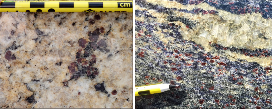 Above, left: Garnet’s dark pink color and round crystal shape make it easy to recognize. Above, right: These garnets come to life in the sunshine of the slab yard. The white mineral is quartz and the black is biotite mica.