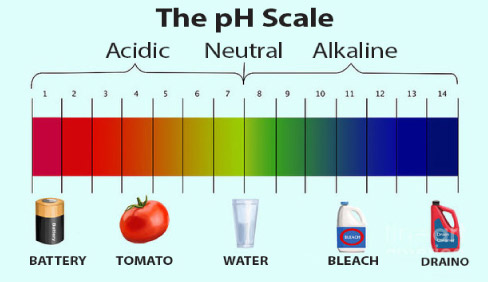 Water (pH neutral) sits right in the center of the scale. The lower the pH number, the stronger the acid (acidic) value is. Anything above a pH of 7 is considered an alkaline or base solution.